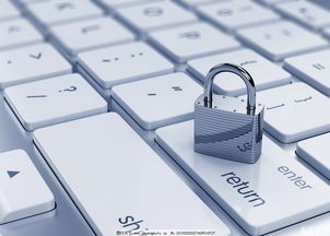 美國網(wǎng)絡(luò)安全專業(yè) 聚焦網(wǎng)絡(luò)與信息安全軟件開發(fā)，解析未來就業(yè)前景