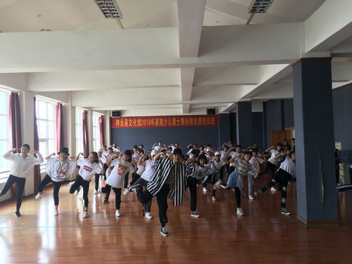 祥云縣文化館暑期文化藝術(shù)公益培訓(xùn)活動(dòng)正式啟動(dòng)